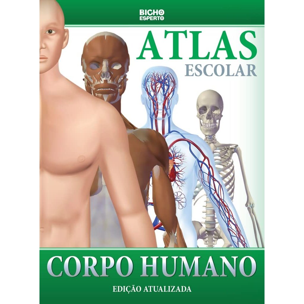 Livro Atlas Corpo Humano Ilustrado 32 Paginas