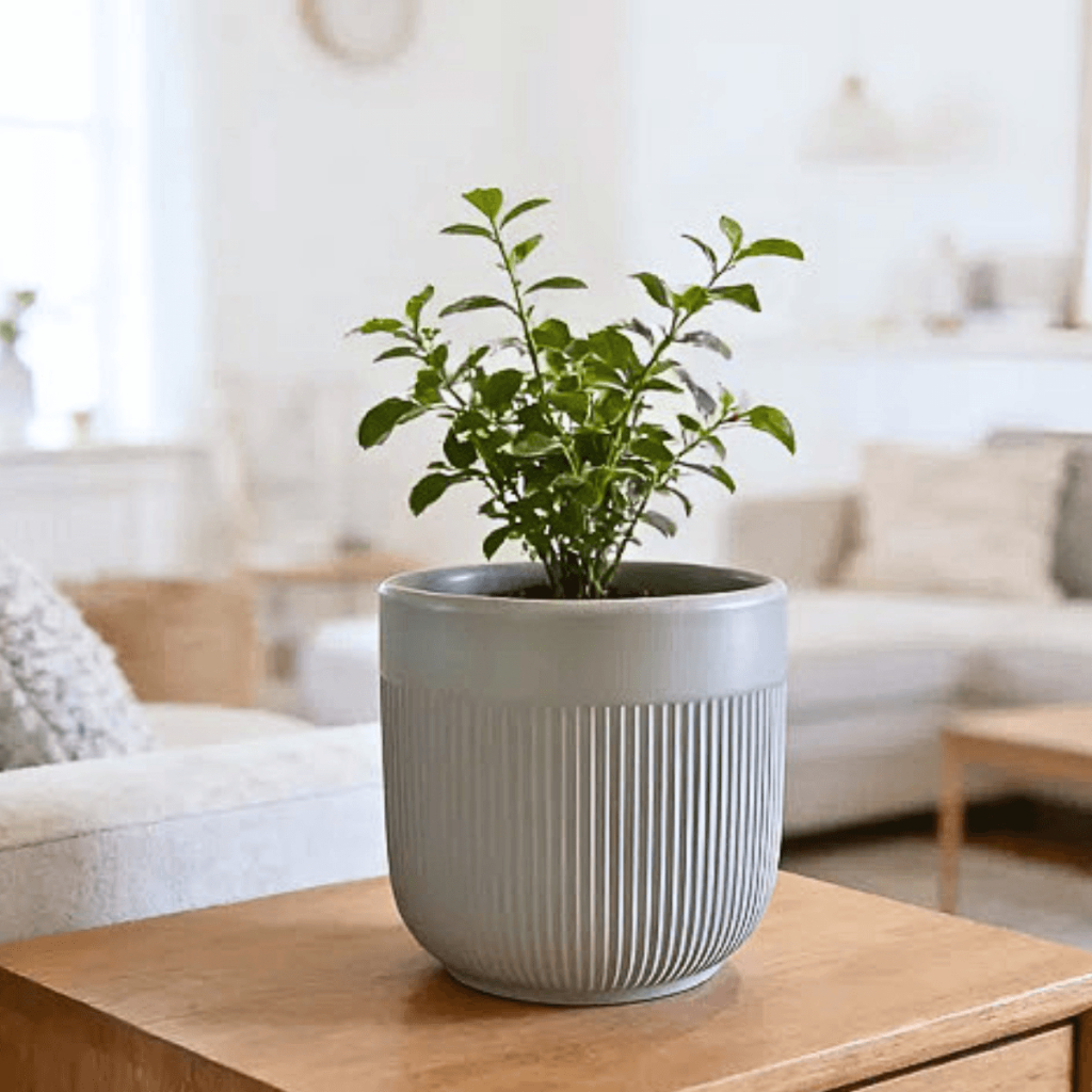 Vaso Cerâmica Friso Branco Cinza Preto Furo Planta Suculenta