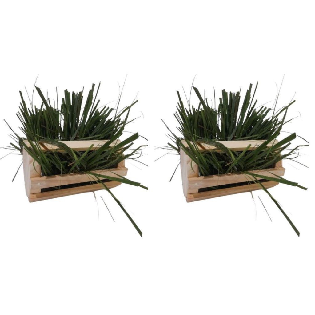Kit C/2 Porta Feno Cilindro + Bolacha Natural Madeira Pinus Roedores Coelhos e Outros