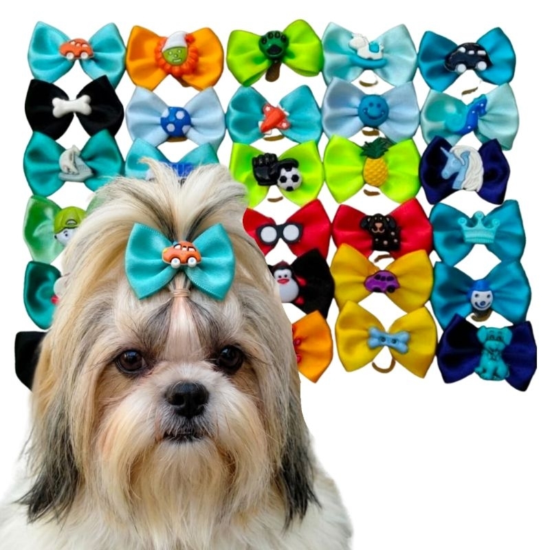 10 Laços Pet Macho G Sortidos