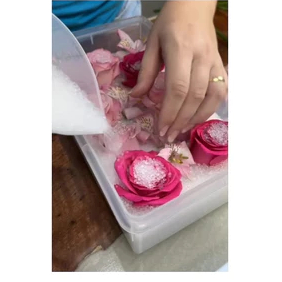 Sílica Gel Branca para desidratar flores - Promo mês das noivas 1KG