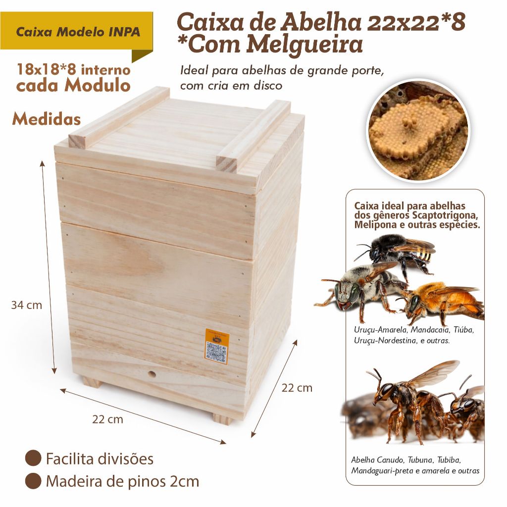 Caixa Modelo INPA 22x22x8 - Com melgueira para Abelhas Nativas