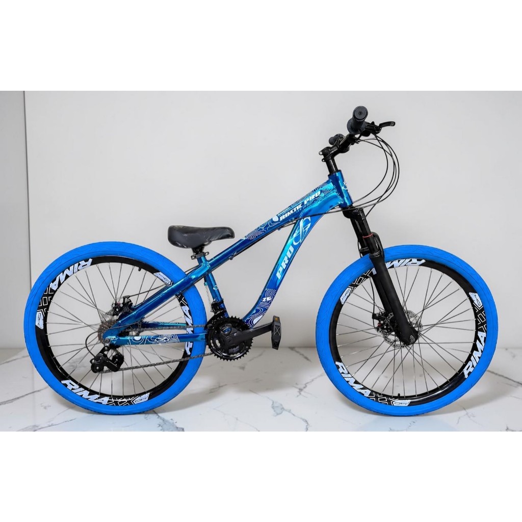 Bicicleta Aro 26 PRO-X Rustic PRO Azul Freeride 21v Aro Vmaxx Freio a Disco Pneu Flame