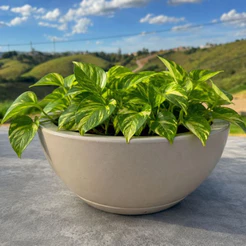 Vaso De Plantas Bacia Decorativa 34 cm com Prato Coletor -Vaso Decorativo Redondo em Polietileno....