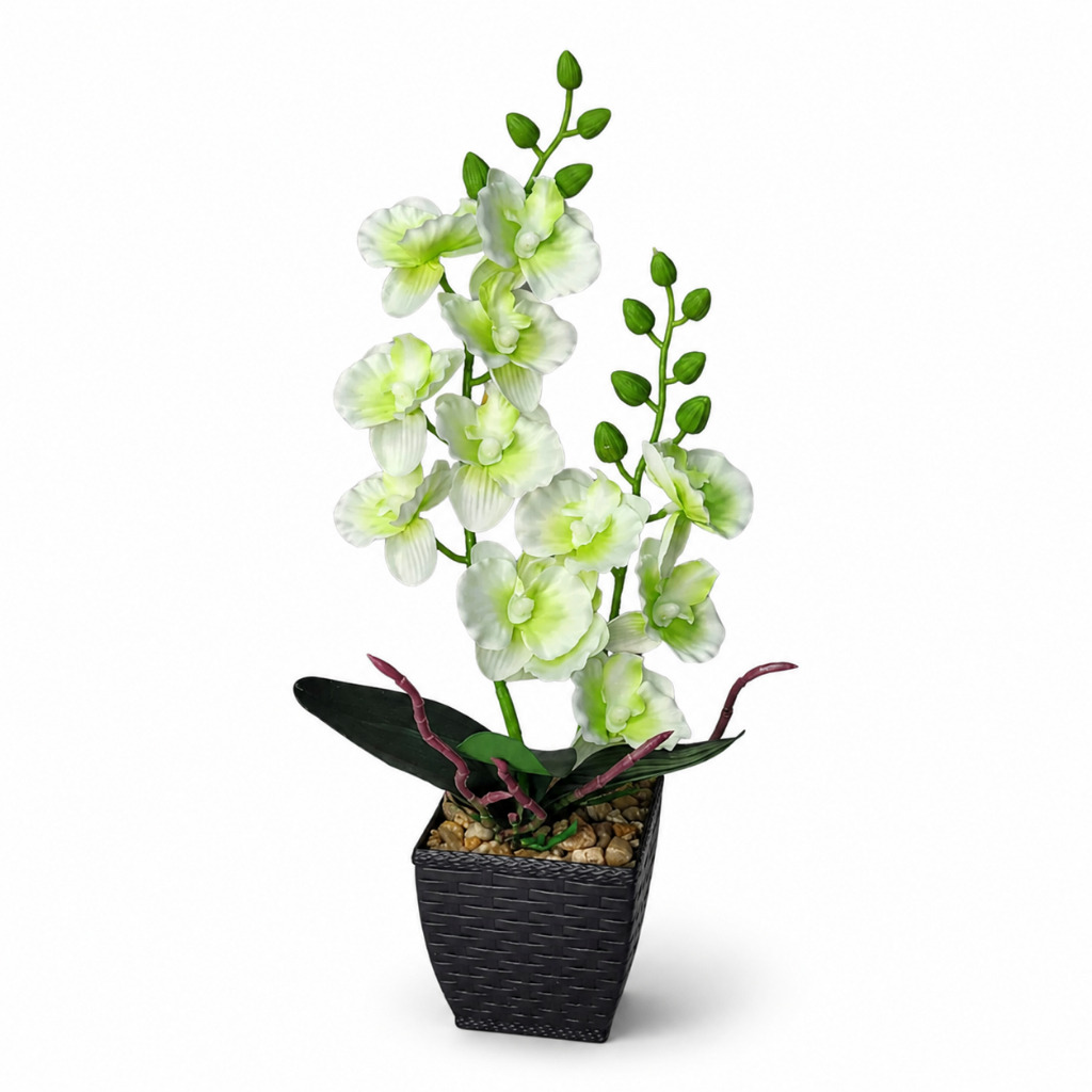 Arranjo Orquídea Artificial Verde Limão 35cm 2 Galhos Vaso Decorativo Para Sala Quarto E Escritório