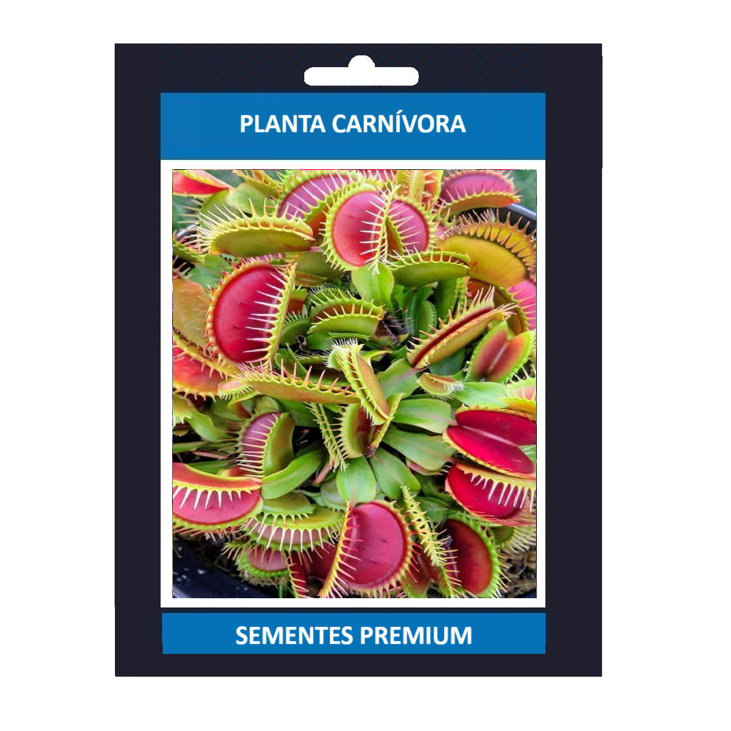 ENVIO SUPER RÁPIDO 100 sementes de planta carnívora papa mosca b19 Premium EXCLUSIVO T1