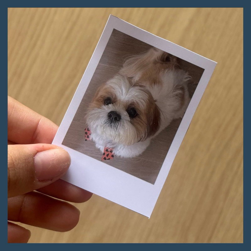 Fotos Polaroid Personalizadas - Impressão de Alta Qualidade, À Prova d’Água, Cores Vivas