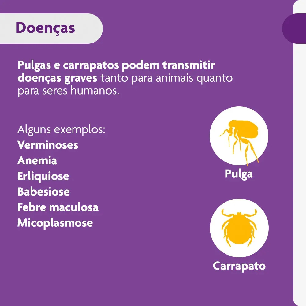 Bravecto 10 a 20kg Antipulgas e Carrapatos Proteção 12 Semanas Cães 1 Comprimido — imagem 2 de 2