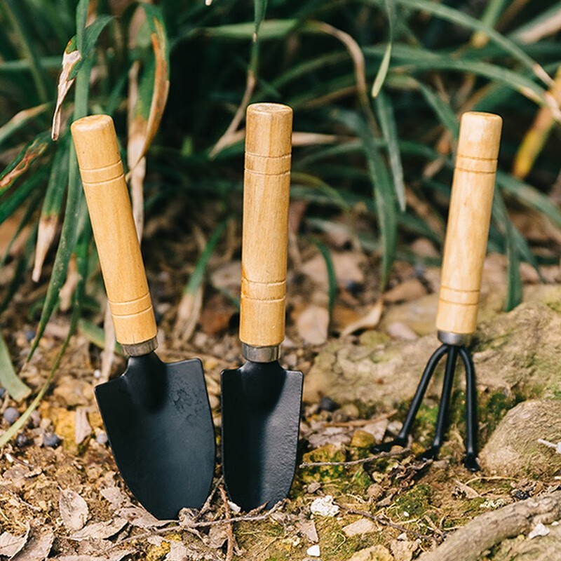 Kit 3 Peças Jardinagem Cabo De Madeira Pá Ancinho para Vasos Terrarios