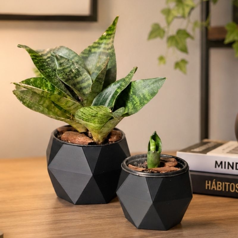 KIT 2 Mini Espada de São Jorge + Vasos Modernos (Plantas Naturais)