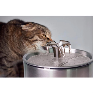 Bebedouro Automático Fonte  De Água Corrente Prático 2,5L Cães E Gatos e Filtro em Oferta na Shopee