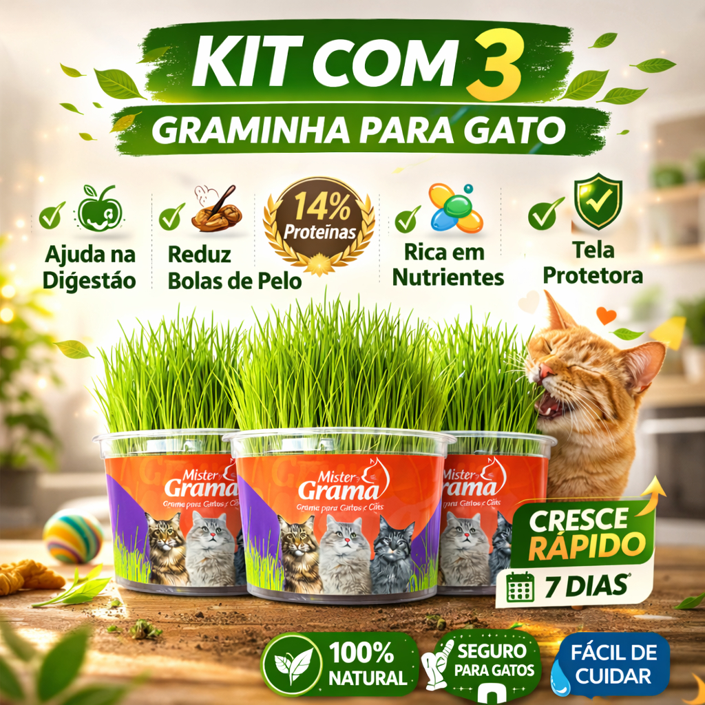 Grama Para Gato Mister C/ 3 Unidades – Auxilia na Digestão e Bola de Pelo / Fácil de Plantar Grama Para Gato Mister C/ 3 Unidades – Auxilia na Digestão e Bola de Pelo / Fácil de Plantar