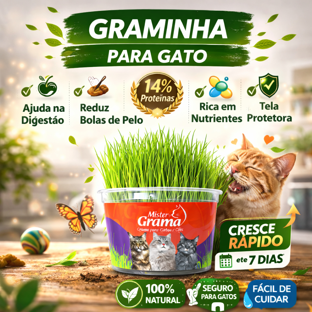 Grama Para Gato Mister– Auxilia na Digestão e Bola de Pelo / Fácil de Plantar em Oferta na Shopee