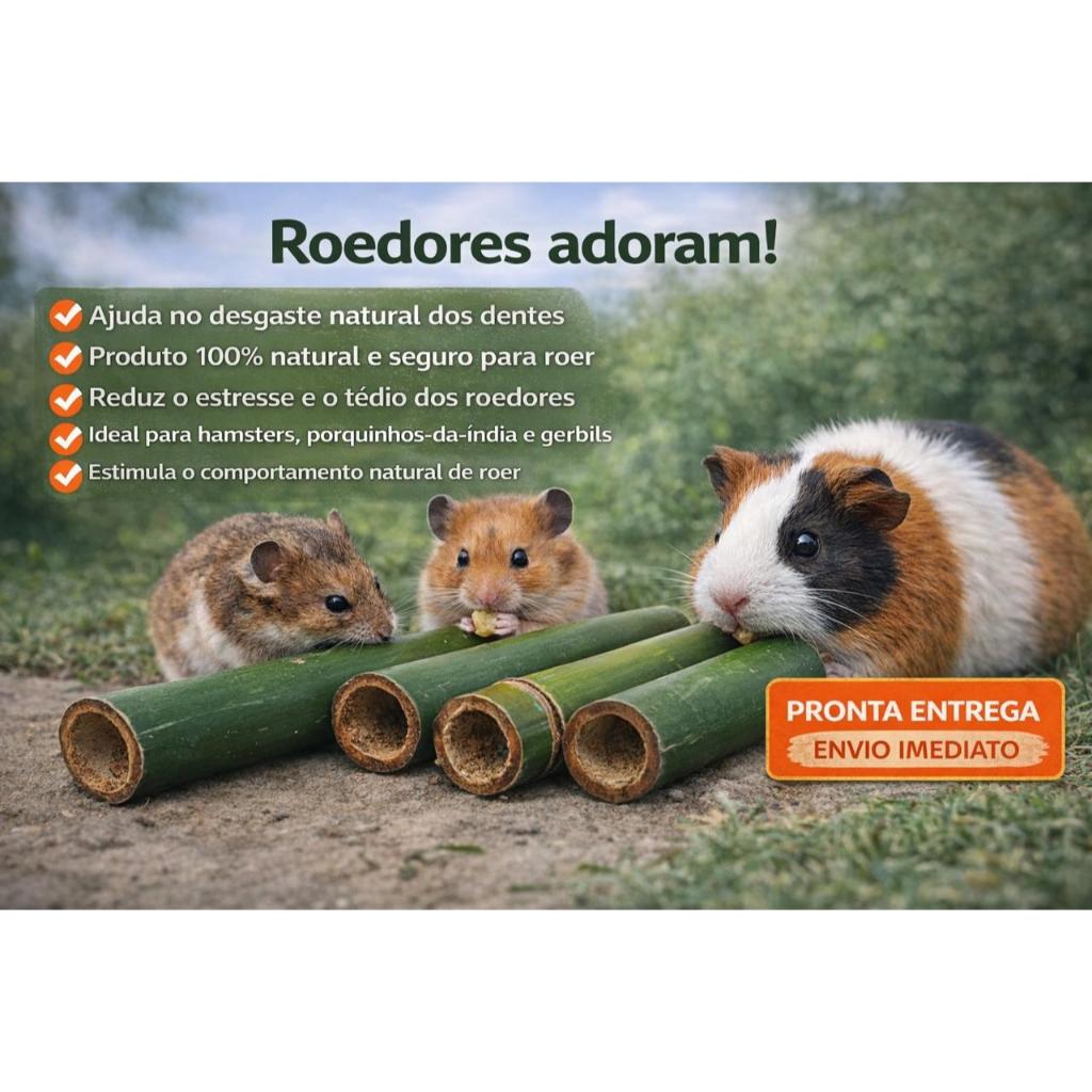 Brinquedo Bambú Natural Para Roedores Porquinho Da Índia Hamster Coelho em Oferta na Shopee