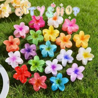 Kit 3-12 Pcs Piranha Flor De Cabelo Pequeno Acrilico 4cm Verão Aestheric Grampo Summer Praia em Oferta na Shopee