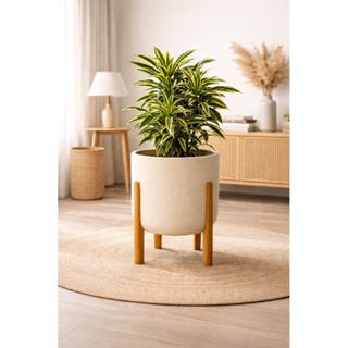Vaso de Planta com Pé de Madeira - Vaso Nórdico com Suporte em Oferta na Shopee