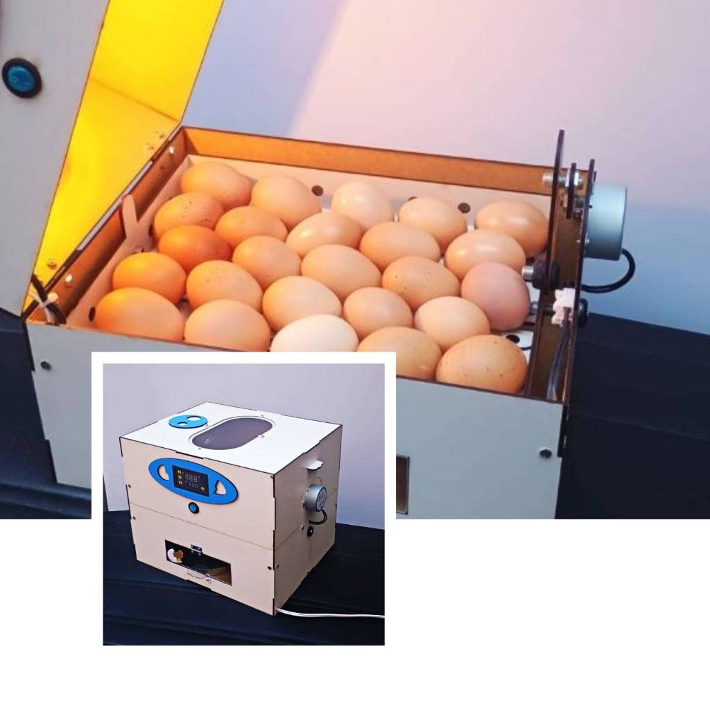 CHOCADEIRA AUTOMÁTICA DE OVOS 30 A 60 UNIDADES.