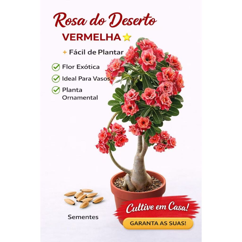 Sementes Rosa do Deserto Adenium Obesum Flores Vermelhas Alta Germinação Fácil Cultivo Jardim Vaso