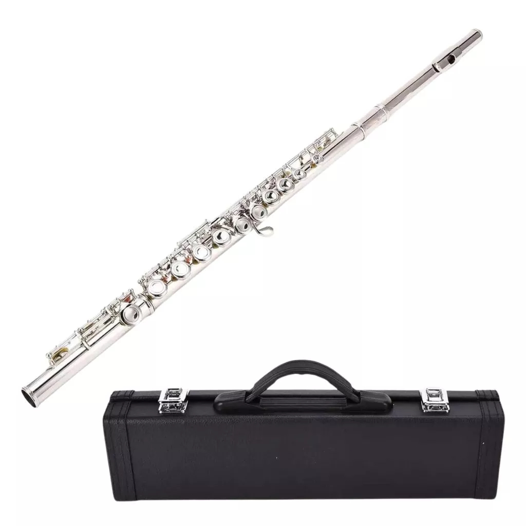 Flutes, Closed Hole C 16 Keys Flute Instrument, Student Flute for Beginner Advanced Player, with Cleaning Kit, Carry Bag