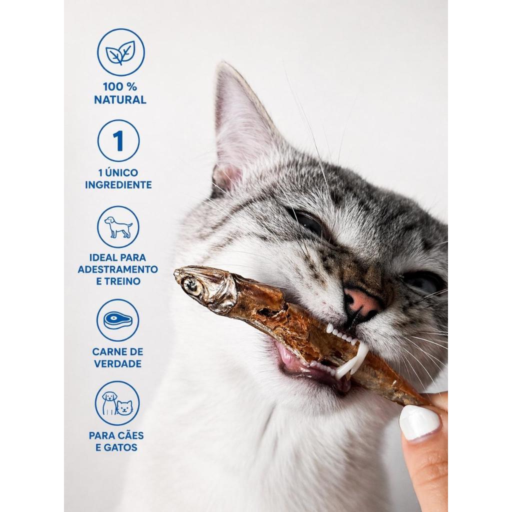 Manjubinha Petisco Natural para Cães 100% Desidratado Sem Conservantes  Rico em Proteína Ideal para Adestramento