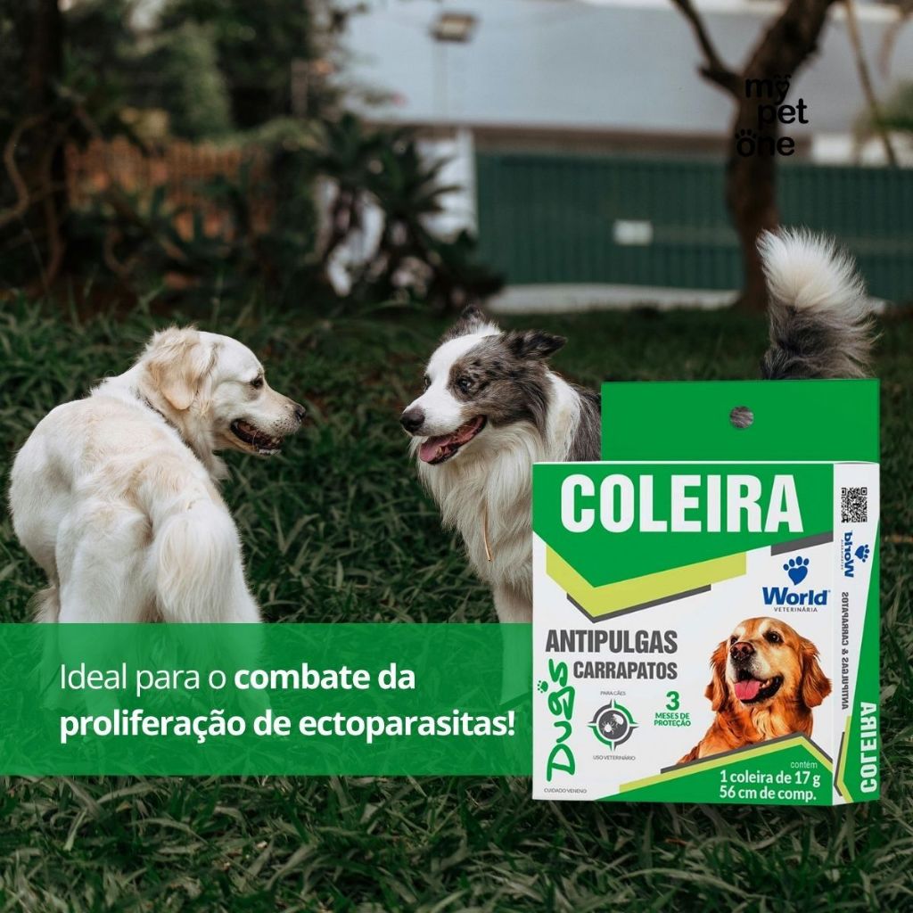 Kit 4 Coleira World Veterinária Dugs 17g Antipulgas para Cães - 56cm