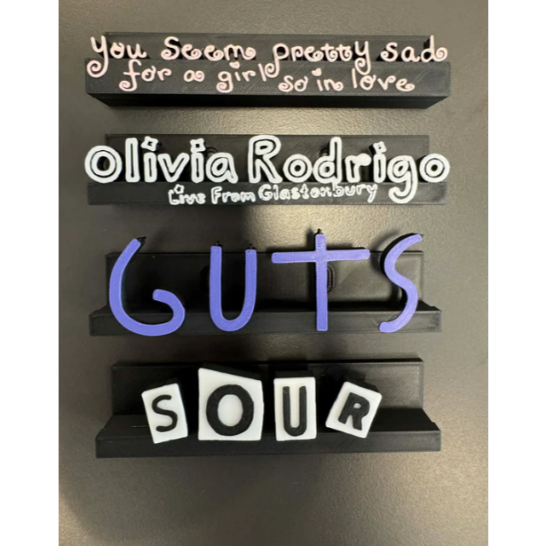 Porta CDs Olivia Rodrigo CD Holder Eras Personalizado em 3D
