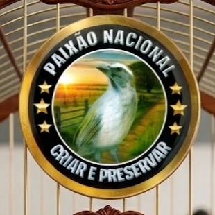 PLACA DE GAIOLA RESINADA PARA COLEIRO, TIZIU, TRINCA FERRO, CANÁRIO, AZULÃO