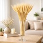 Trigo Seco Para Decoração 40/80/200/280/400 hastes Arranjos Flores Desidratadas Vaso Decorativo.