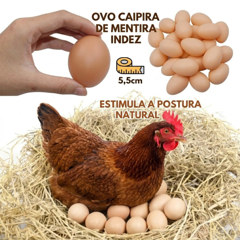 kit 36 Ovos de Plástico Galinheiro para Indez Galinha Ovo de Mentira Brinquedo Fazendinha