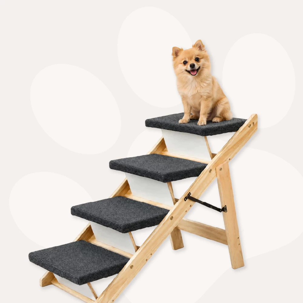 Escada Escadinha Rampa Pet 2 Em 1 Cachorro Gato Subir Na Cama Sofá 60cm Antiderrapante Dobrável