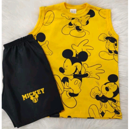 Conjunto Infantil Menino - Temático Camiseta E Short - Pronta Entrega.