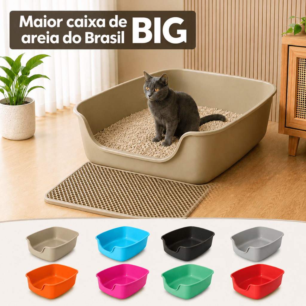 Caixa De Areia Gato Gigante Alvorada Bandeja Big Extra Grande