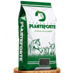 Sementes Capim Massai Incrustada 10kg