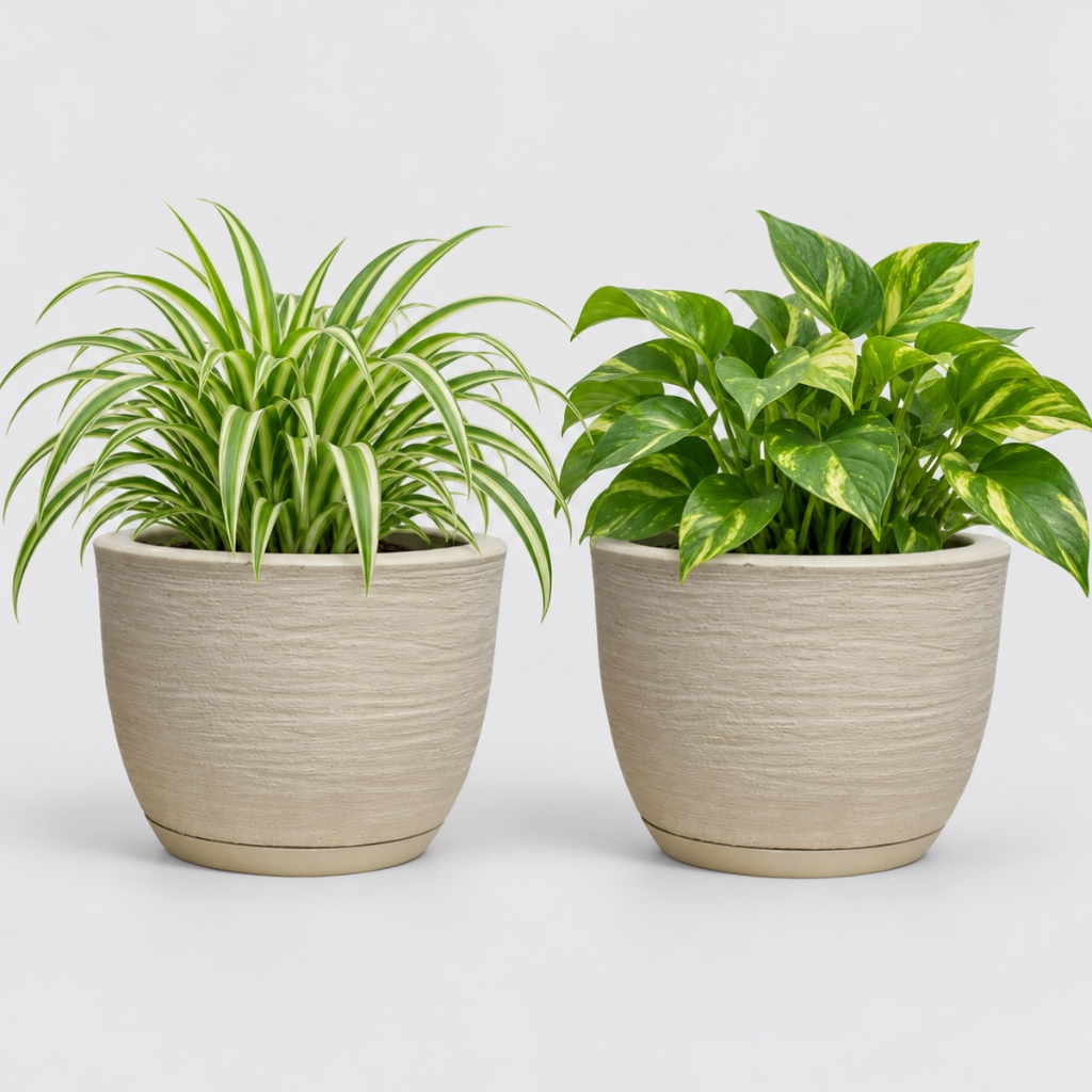 Kit 2 Vasos Polietileno Para Plantas Jardim Sala Luxo Escovado Bojo Pequeno Com Prato