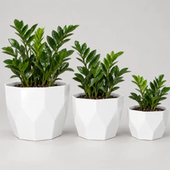 Kit Jogo 3 Vasos para Plantas Decorativo Cachepô Liso Injetado Centro Mesa Suculentas Cactos