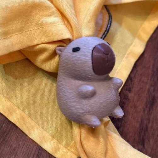 Arganel Capivara Feito em 3D