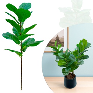Planta Artificial Fícus Lyrata Jiboia Ramo Haste Galho 13 Folhas 60 CM Realista Decoração Toque Real em Oferta na Shopee