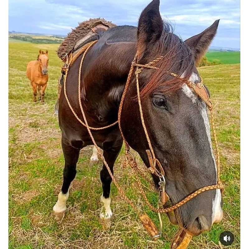 Preparo completo misto trançado e torcido traia couro cru