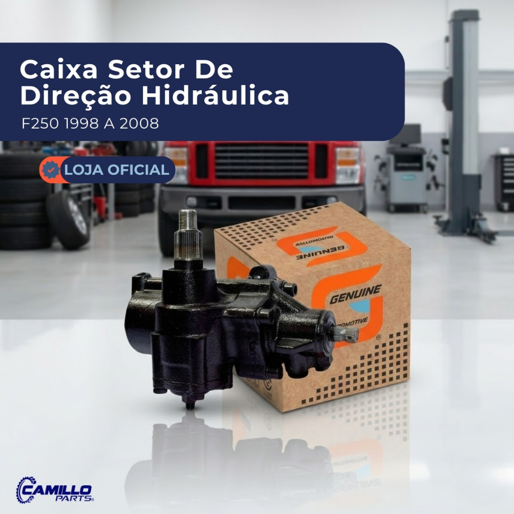 Caixa Setor Direção Hidráulica Ford F250 F350 F4000 1998 2008 Genuine Automotive
