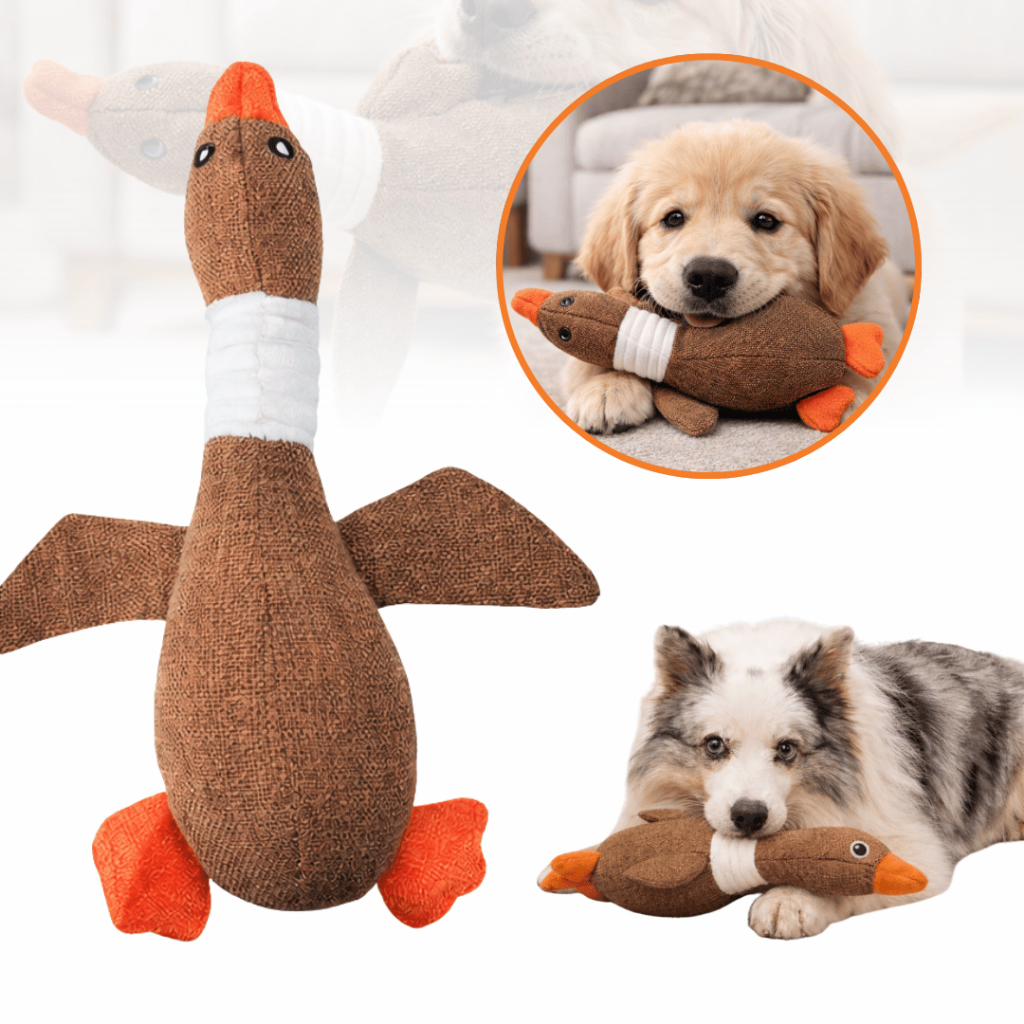 Brinquedo Pelúcia Pato Voador Tex Toys com Lona para Cães Mordedor Interativo Anti Estresse