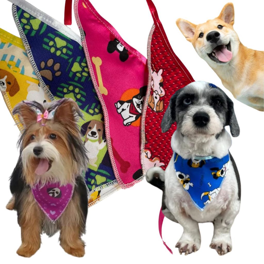 Kit 50 Bandanas GG Pet Atacado Estampadas Sortidas Para Cachorro e Gato Banho e Tosa Revenda Promoção Lote Atacado