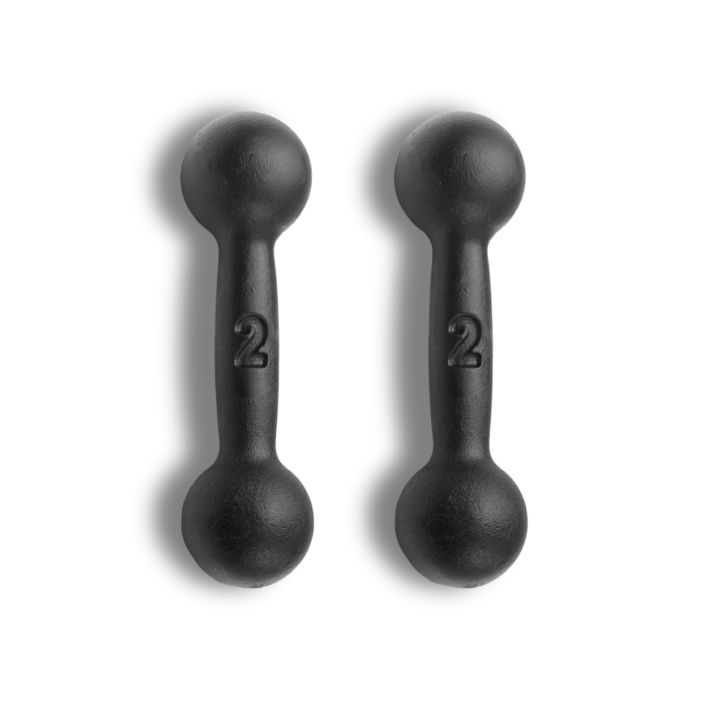 Par Halter Bola 2kg Pintado Treino Musculação Treino Fitness