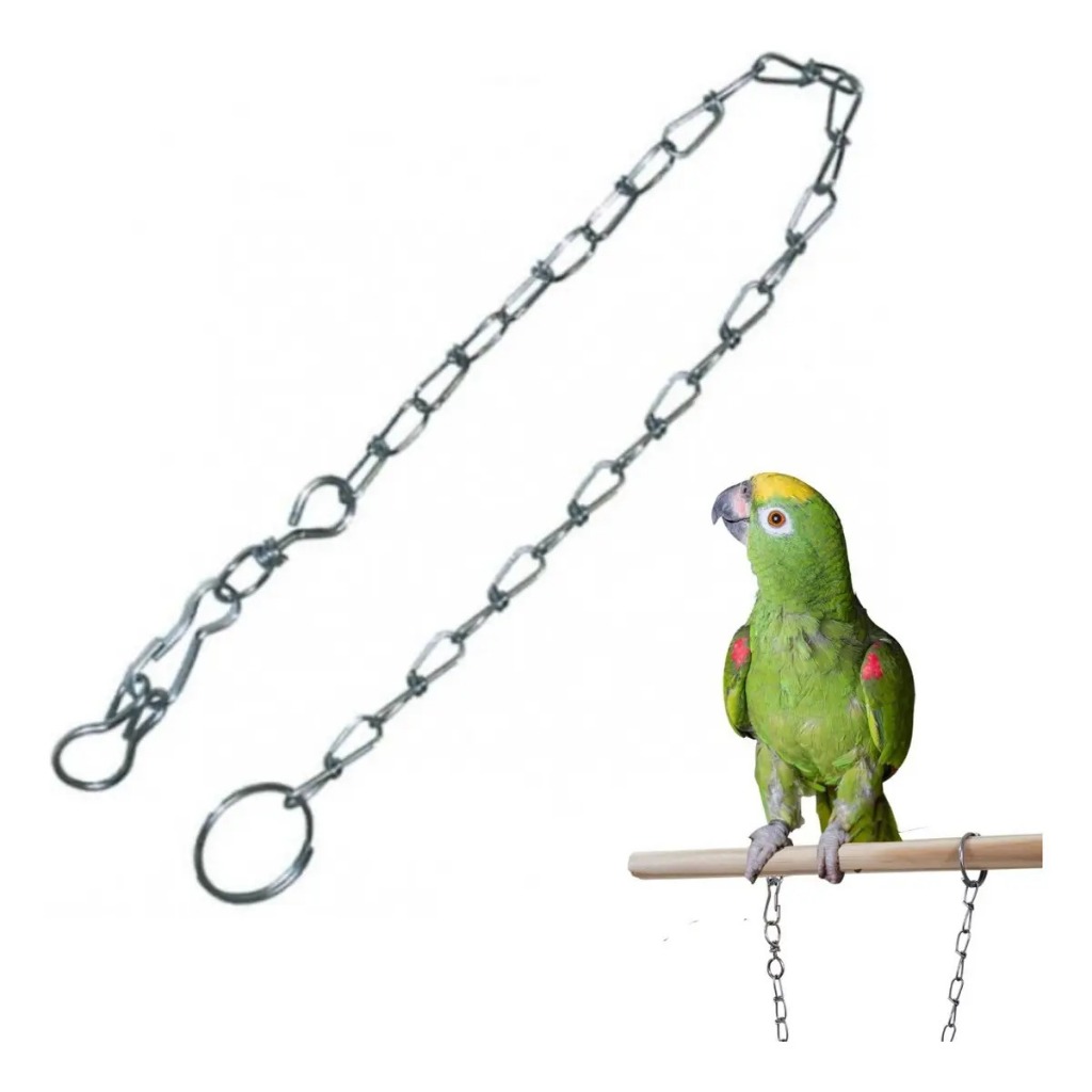 Corrente P/Papagaio/Arara/Pato/Aves grande porte