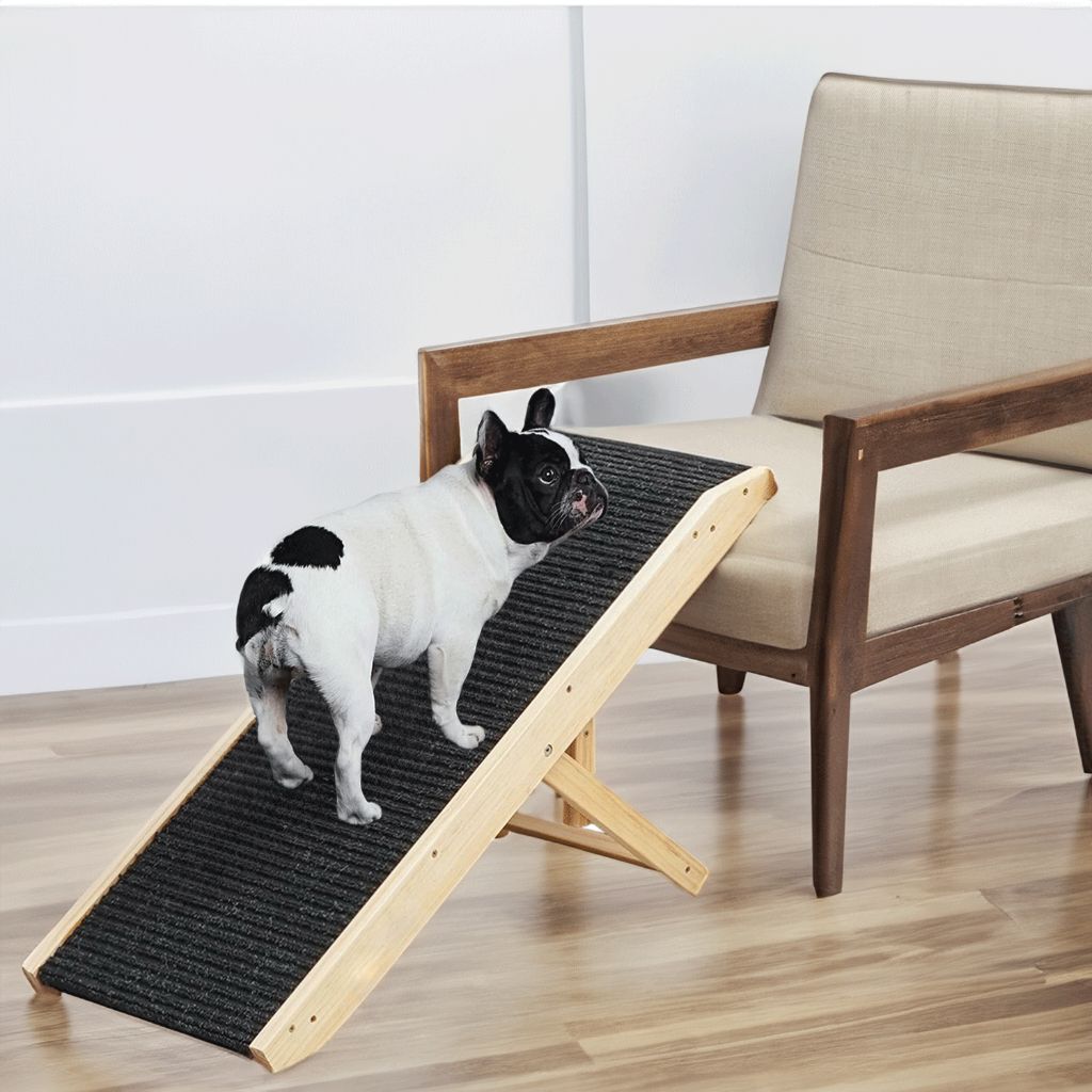 Rampa Pet Cachorro Cães Antiderrapante 4 Níveis Regulável