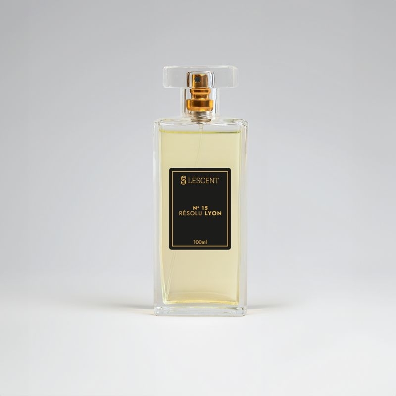 Perfume Masculino 25ml Nº 15 Résolu Lyon | Fragrância Marcante, Moderna e Sofisticada | Uso Diário e Noite
