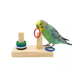 Brinquedo Para Calopsita Duplo Pega Puxa Tira Argolas treinamento De Argaponis Periquitos Passaros