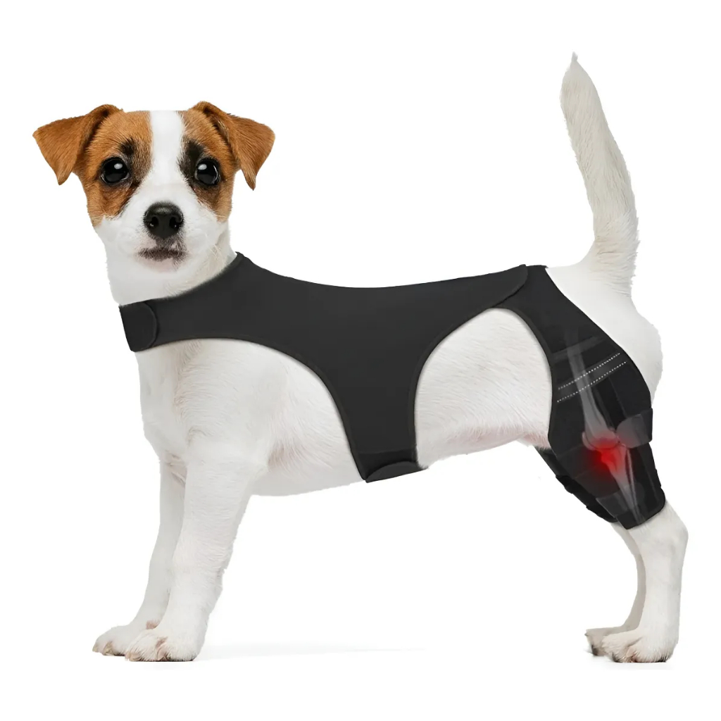 Joelheira de cachorro para perna traseira, suporte duplo para cães de grande a pequeno porte suporte forte ACL suporte