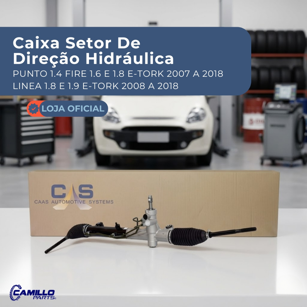Caixa Direção Hidráulica Fiat Punto Linea 1.4 1.6 1.8 E-tork Caas do Brasil