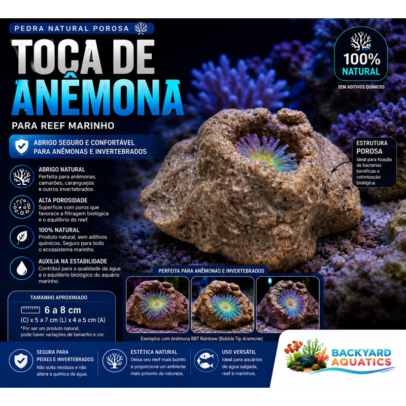 Pedra Porosa Toca para Anêmona/ Pedra vulcão aquário marinho e cicideos