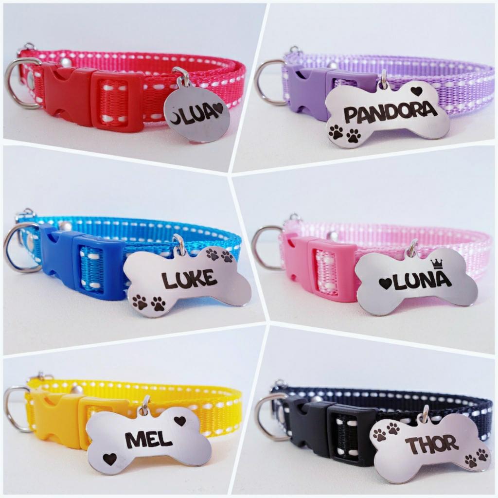 Coleira para cachorro com tag de identificação gravada